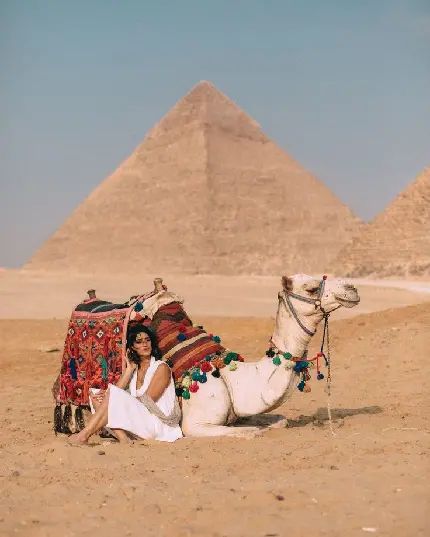 Download Two-Person Pose Camel and Beautiful Girl Photo