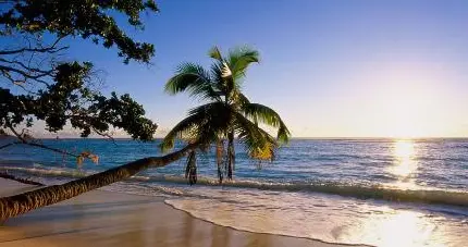 Coconut Tree Beach in Kish Island - Beautiful Scenery