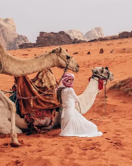 Download Masked Girl and Camel HD Background Photo