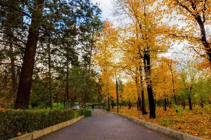 Download Mellat Park Photos in Tehran