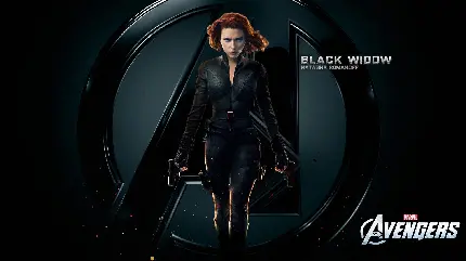 Black Widow HD Background Image in High Quality