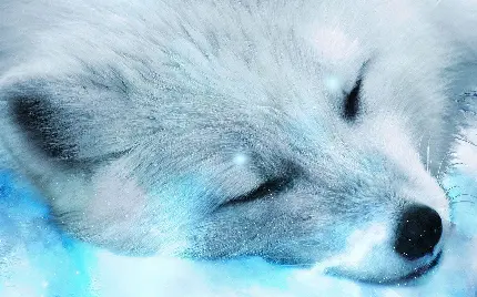 Download Beautiful White Fox Image