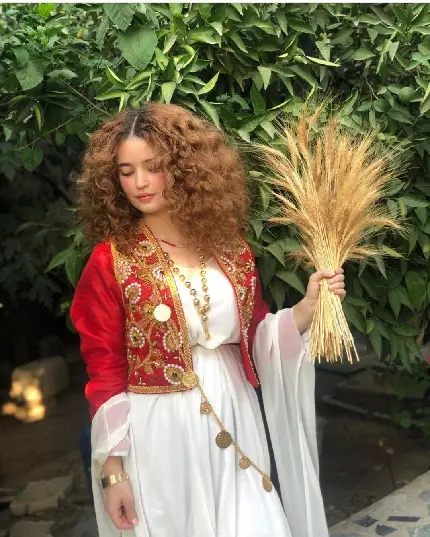 Elegant Kurdish Dresses for Women in 2023