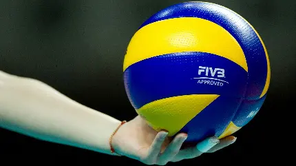 Photos of Volleyball Balls