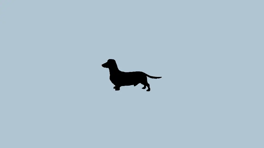 Minimalist dog background image for Insta story highlight cover design 