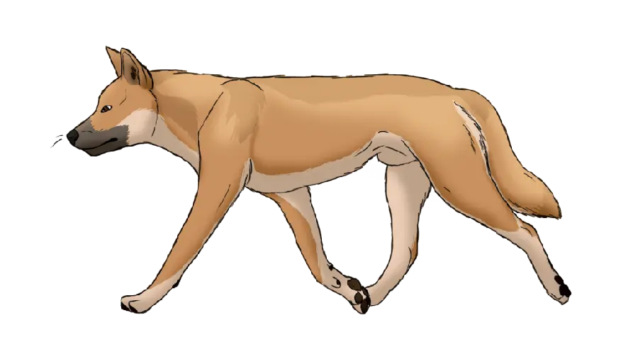 Cool Australian wild dog background for video game design