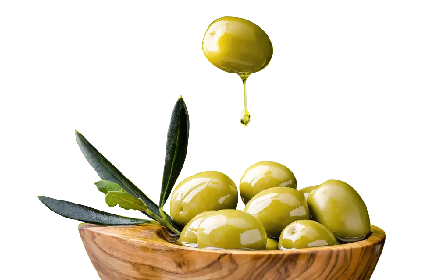 Free Download Olive PNG Images for Print Designs