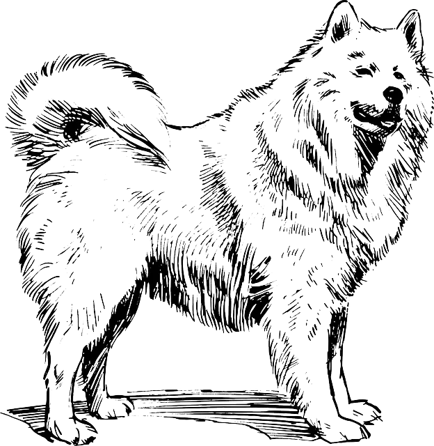 Beautiful Black and White Dog Drawing Background PNG