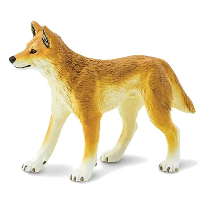 3D wallpaper of Australian wild dog on transparent background