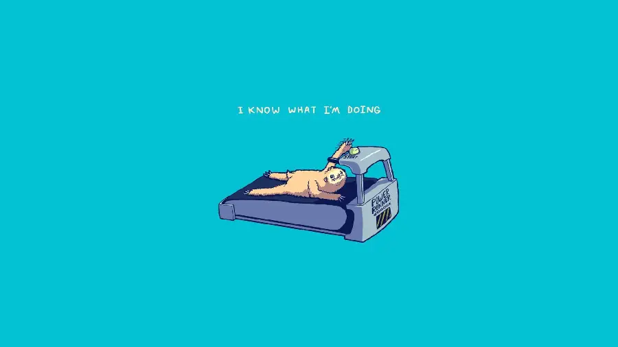 Funny Sloth Wallpaper on Blue Background