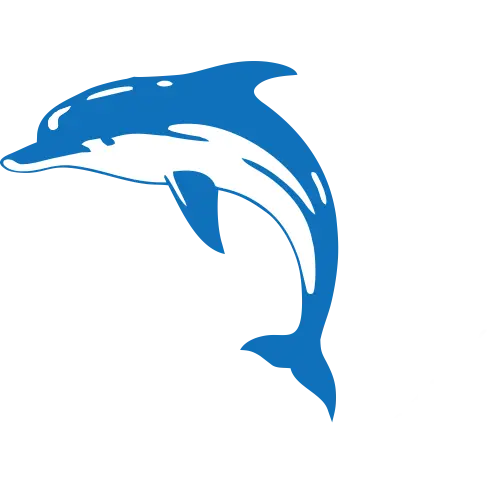 Dolphin PNG Image for Advertising