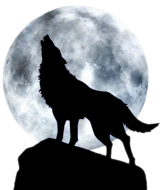 Super scary photo of a howling wolf with a full moon background png