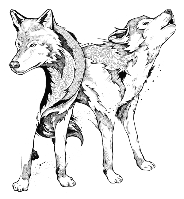 Download the attractive and creepy black and white wolf drawing png image