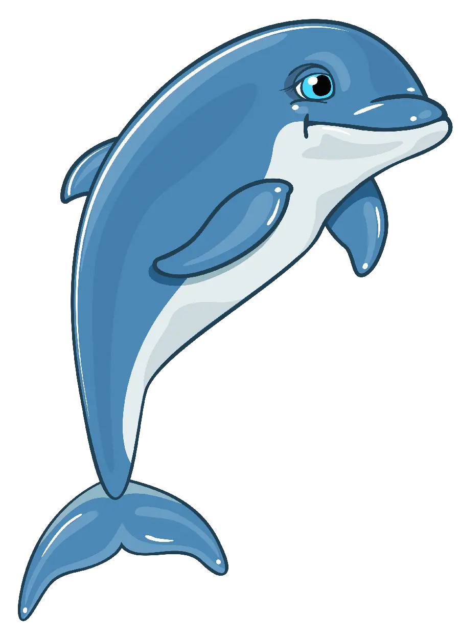 Dolphin PNG photo