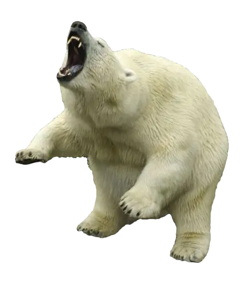 Download Image Polar Bear Background PNG Ready for Photoshop 