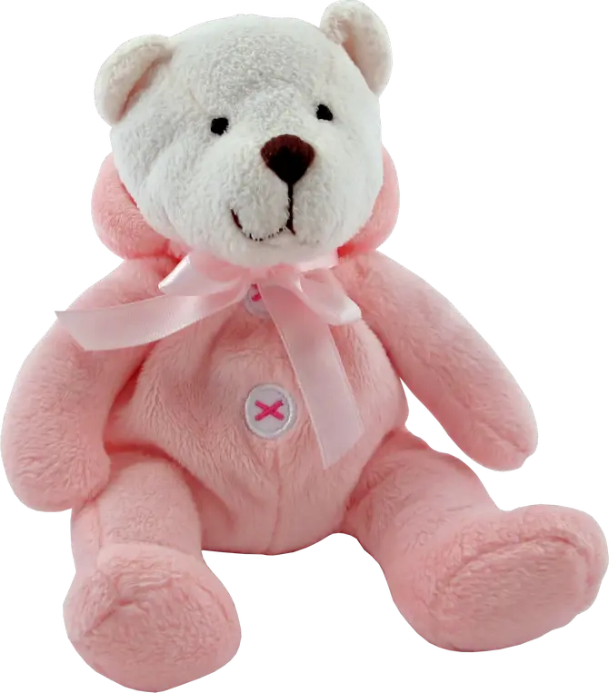 Stock Photo Without Background of Cute Teddy Bear PNG