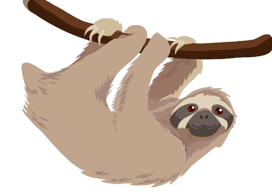 Download unique sloth PNG background with very good quality 