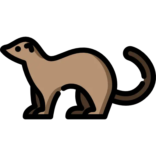 Quality Otter Stock Image for Making Video PNG