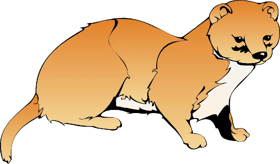 Otter PNG background photo for logo design and creation