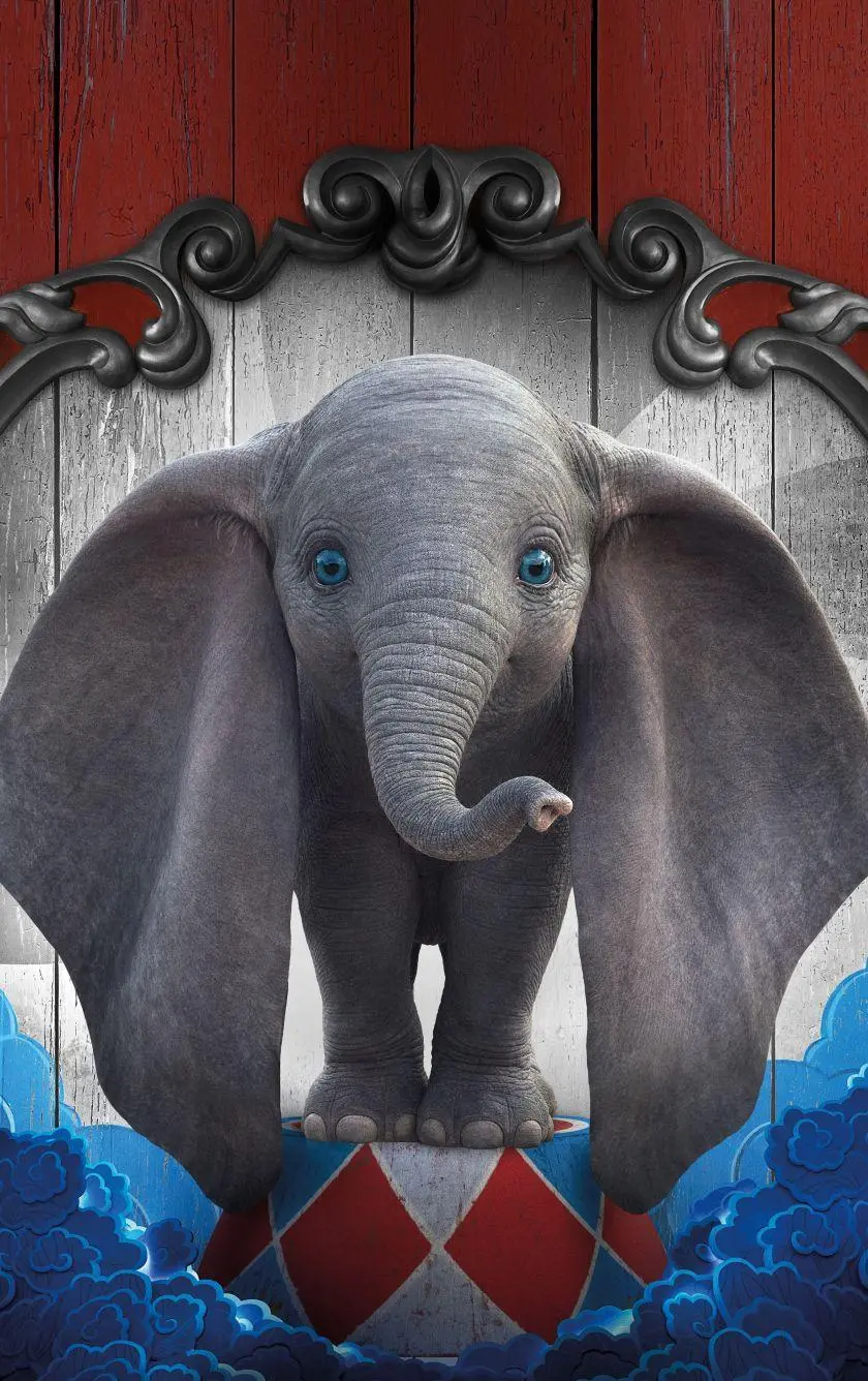 Attractive photo of a small elephant in a small elephant animation for phone wallpaper and background