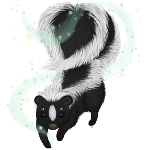 Beautiful Skunk PNG Stock Photo with High Resolution