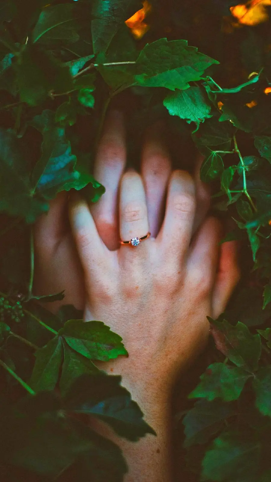 Download image of hands together for togetherness Woden