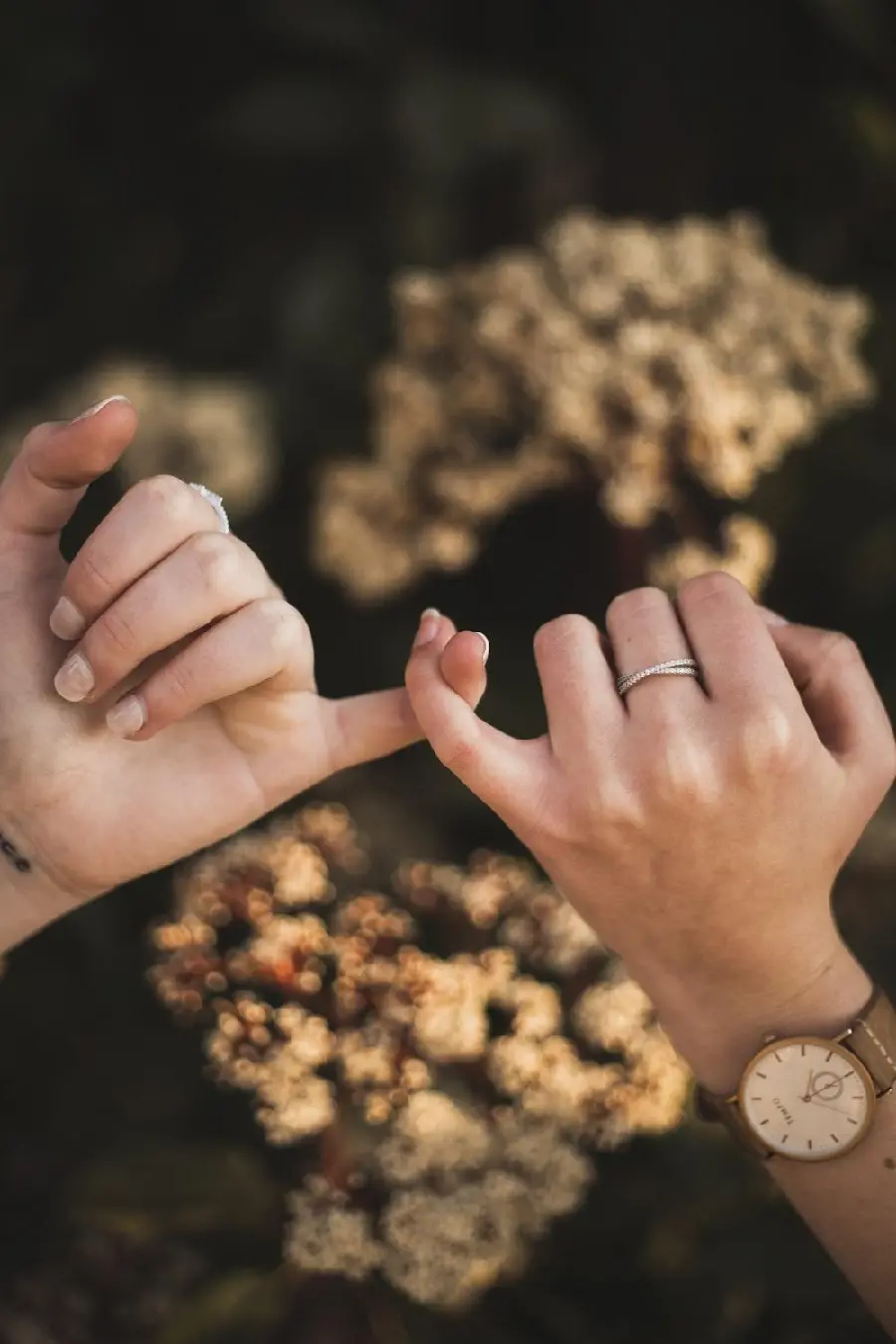 A beautiful picture of a beautiful couple holding hands for a profile