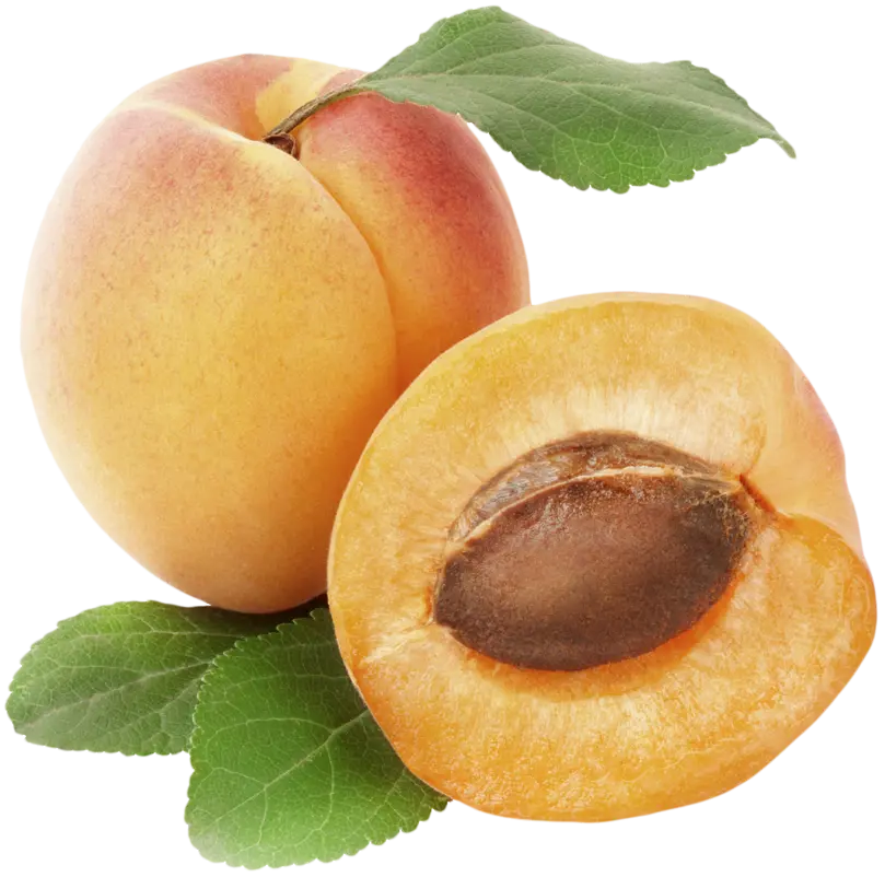 Yellow Plum