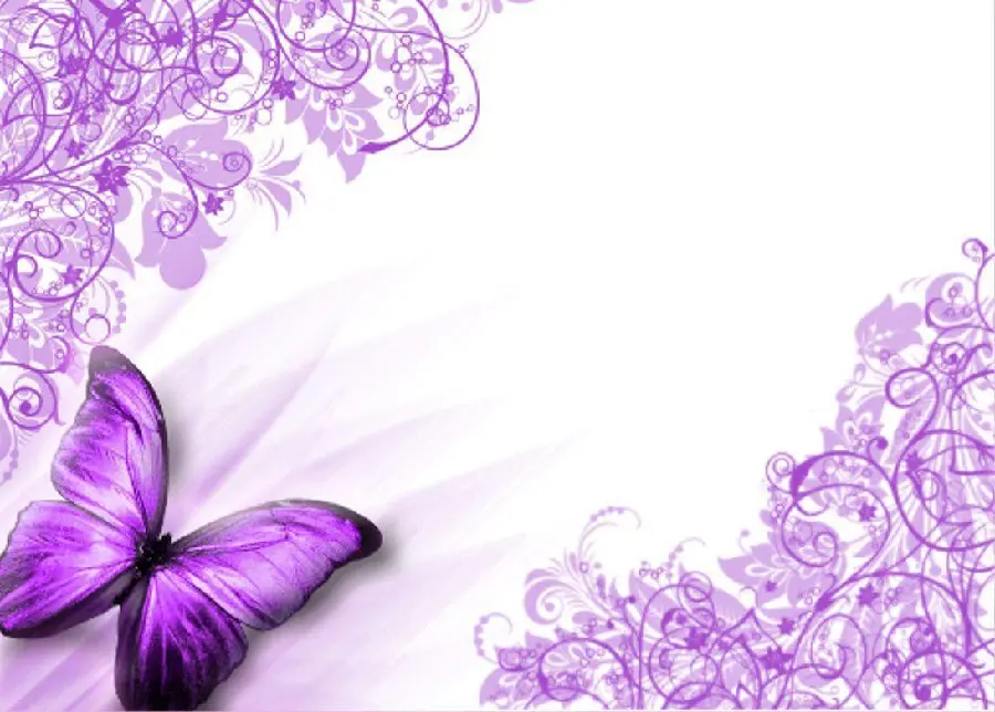 The most attractivePurple Butterfly Backgrounds Easy to Download 