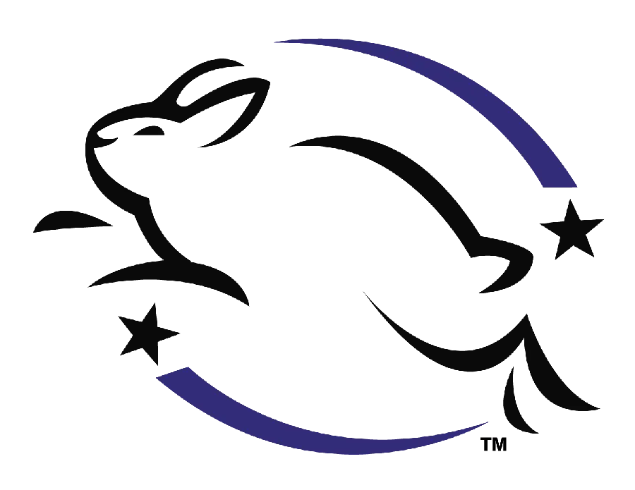Quality Image of Rabbit Drawing for Designing and Making Logos PNG