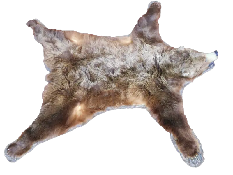 Background image for webmasters from a bear skin PNG