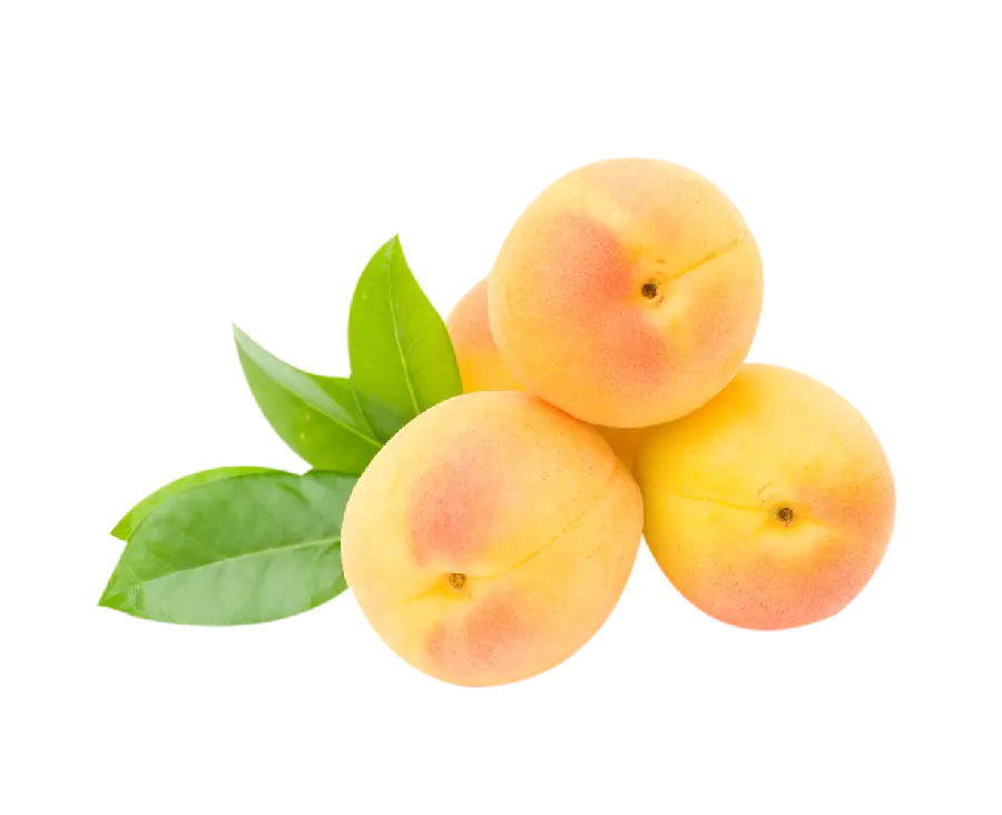 Free Download Apricot PNG Images for Online Content Design
