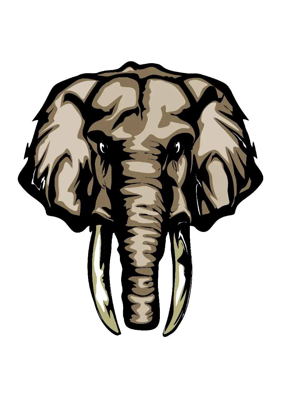 Animated Cartoon Elephant for Use in Printing PNG