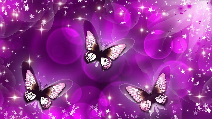 Digital purple butterflies with very good HD quality