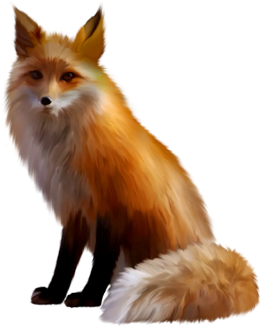 High quality wallpaper Fantastic Real Fox PNG