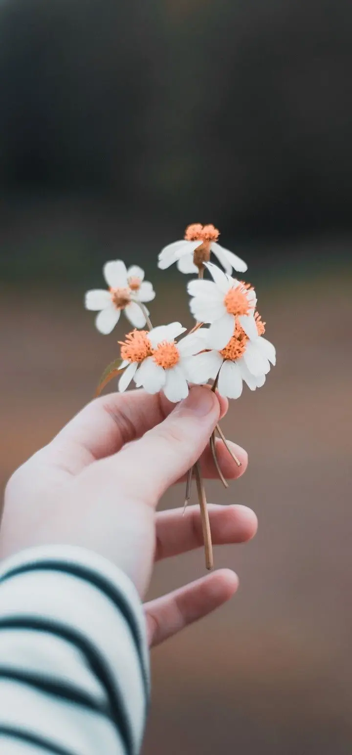 A beautiful picture of flowers arranged in the hands of a girl for a profile