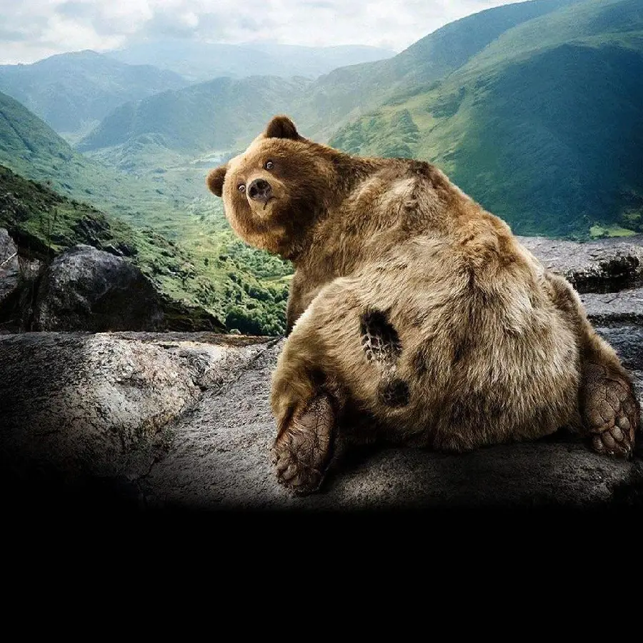Grizzly Bear Digital Wallpaper for Desktop 