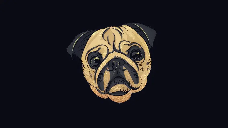 Digital Stock Photo of Pug Dog for Making and Designing Logos 