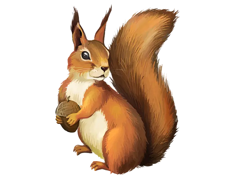 A picture of a kind lady squirrel for your profile and background