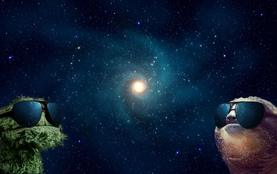 Amazing and interesting sloth stock photo on a galaxy background