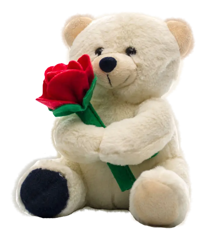 Download Cute Teddy Bear Photo with Red Felt Rose PNG
