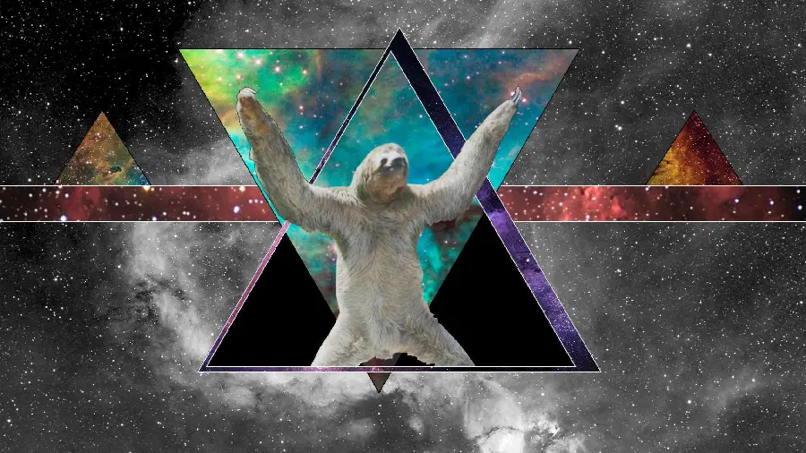High resolution profile photo of sloth with easy download
