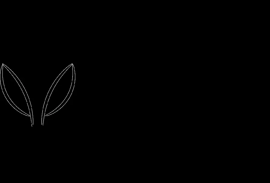 Attractive Black and White Fox Drawing PNG Wallpaper