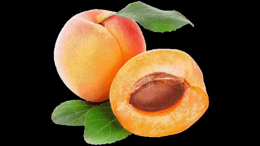 Free download of high quality Apricot PNG images