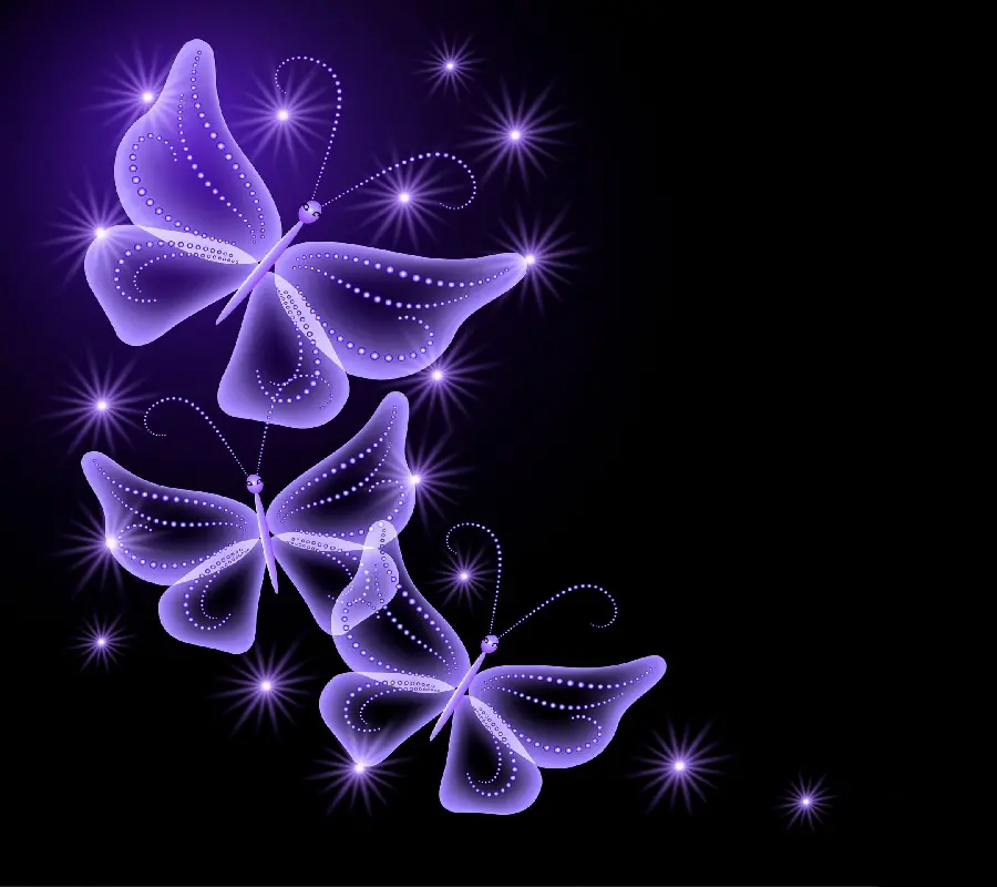 High-quality background photo of purple butterfly for WhatsApp profile