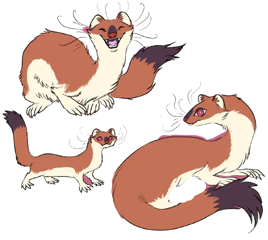 Otter PNG Background Image for Sticker Pack Design
