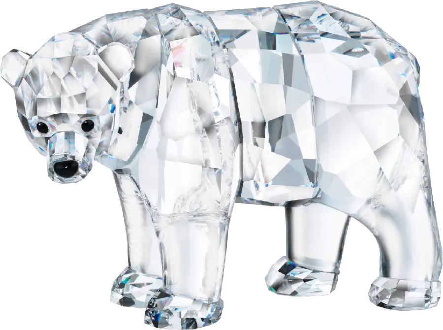 Bear Painting Wallpaper with Interesting Crystal Design in PNG Format