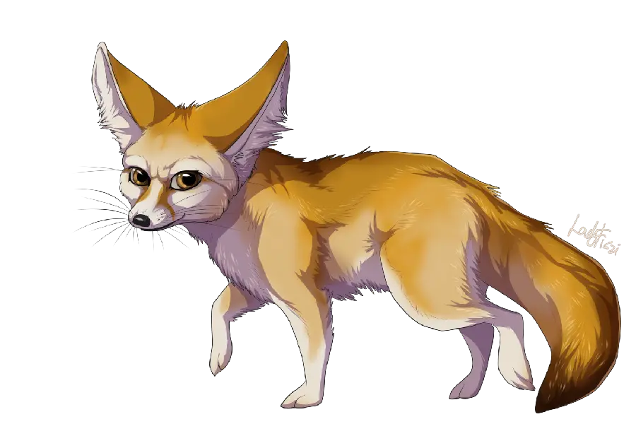 Photoshop Ready Stock Photo of Real Fox PNG