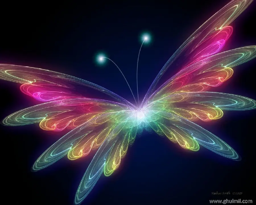 Butterfly background image Purple with bright colors on a black background