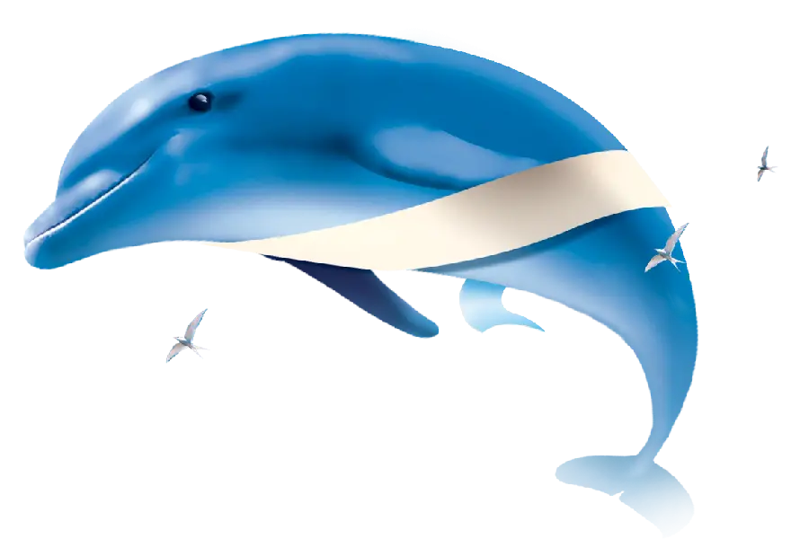 PNG Images Dolphin suitable for design